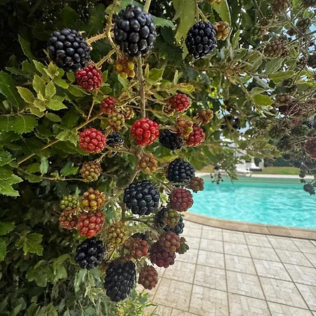 Apartment Tenuta Bufalini - *